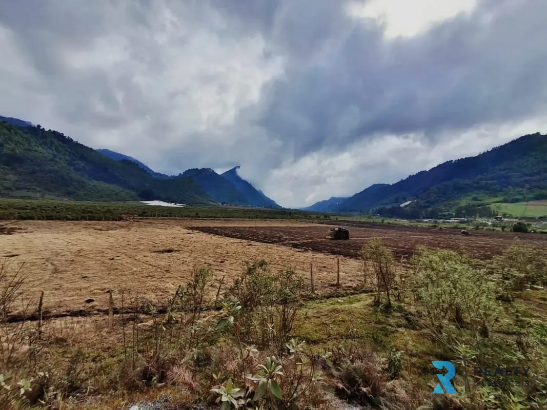 Vendo Finca Purulha, BVP Carretera hacia Cobán Sobre Carretera Principal — Finca en Venta en Purulhá, Baja Verapaz — foto 4 de 4