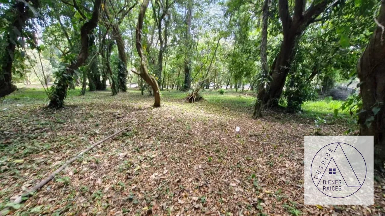 San German de La Montaña Carr Salvador km 19.5 entrada a Fraijanes — Terreno en Venta en San Germán de La Montaña, Carretera a El Salvador, Guatemala, Ciudad — foto 1 de 5