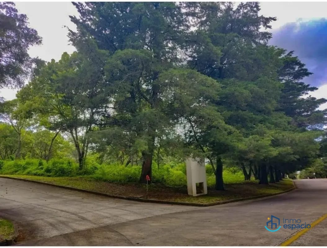 Terreno en Venta en Casa y Campo — Terreno en Venta en Casa &amp; Campo, Carretera a El Salvador, Guatemala, Ciudad — foto 5 de 6