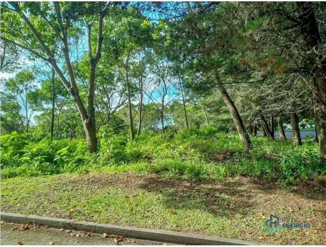 Terreno en Venta en Casa y Campo — Terreno en Venta en Casa &amp; Campo, Carretera a El Salvador, Guatemala, Ciudad — foto 3 de 6