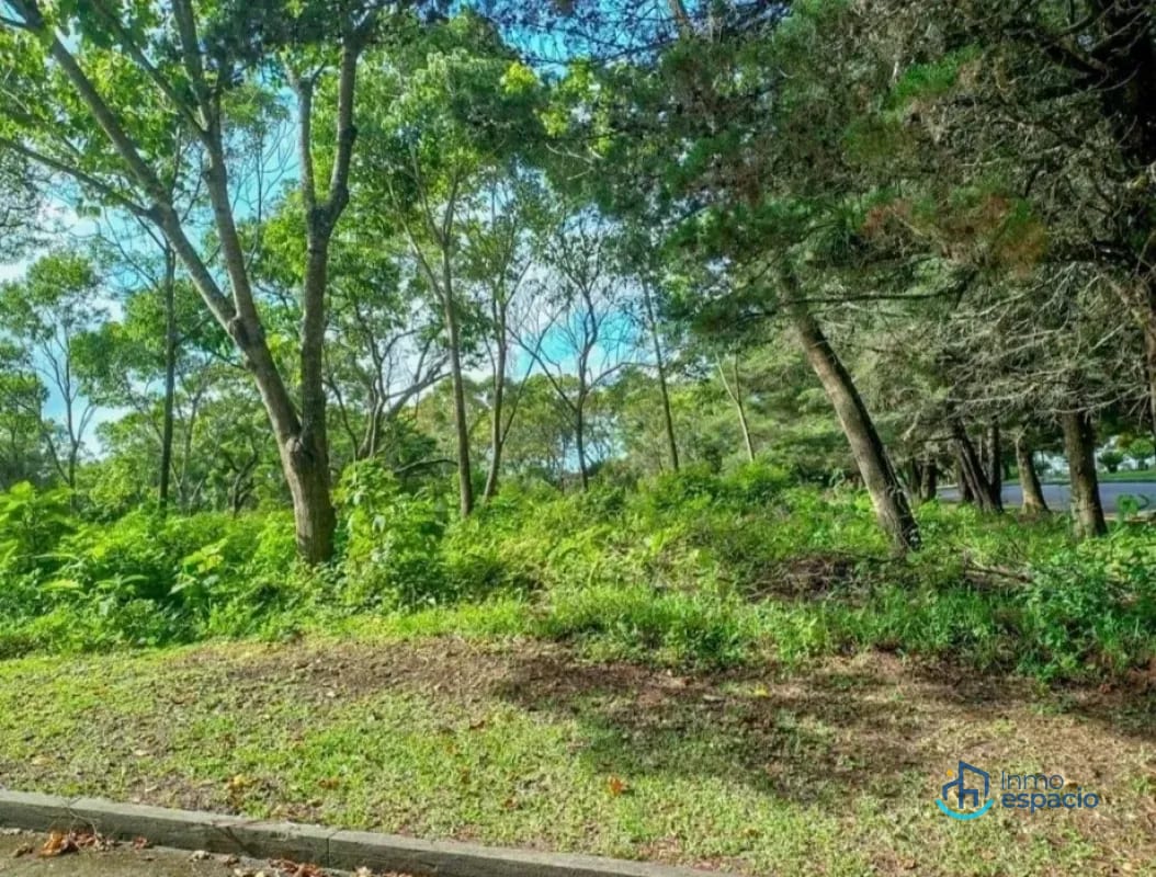 Terreno en Venta en Casa y Campo — Terreno en Venta en Casa &amp; Campo, Carretera a El Salvador, Guatemala, Ciudad — foto 2 de 6