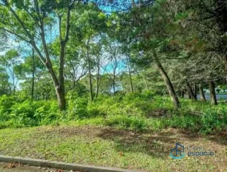 Terreno en Venta en Casa y Campo — Terreno en Venta en Casa &amp; Campo, Carretera a El Salvador, Guatemala, Ciudad — miniatura 2 de 6
