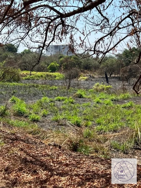 Autopista Puerto Quetzal km 80 11 manzanas en venta. — Terreno en Venta en Masagua, Escuintla — foto 7 de 7
