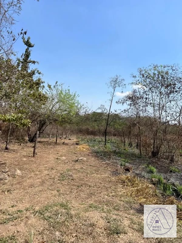 Autopista Puerto Quetzal km 80 11 manzanas en venta. — Terreno en Venta en Masagua, Escuintla — foto 6 de 7