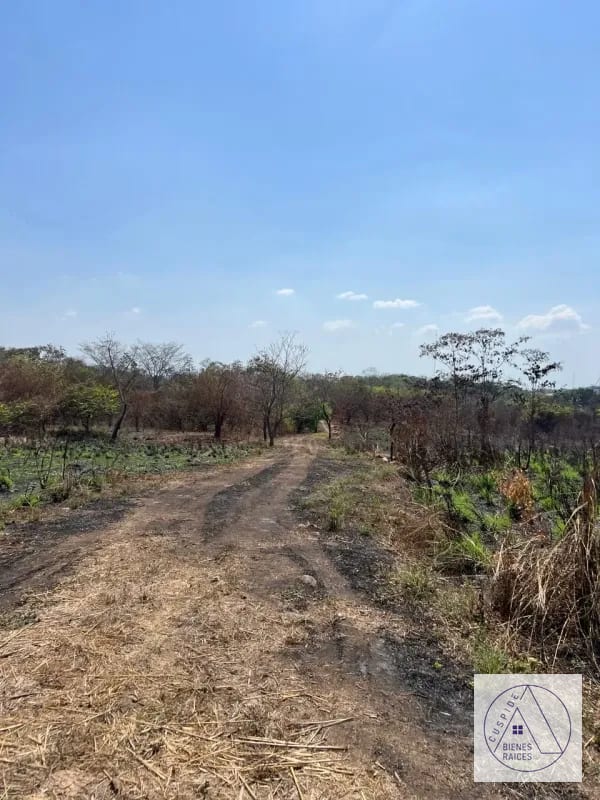 Autopista Puerto Quetzal km 80 11 manzanas en venta. — Terreno en Venta en Masagua, Escuintla — foto 5 de 7