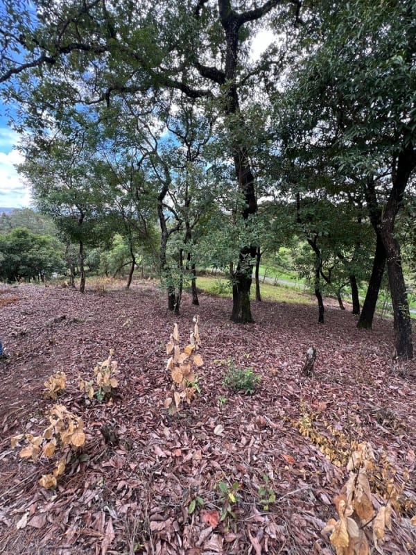 Vendo terreno Pulté Golf — Terreno en Venta en El Pulté, Zona 16, Guatemala, Ciudad — foto 7 de 7