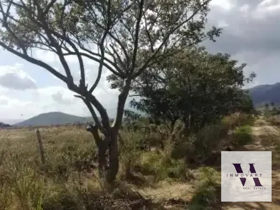 Terreno a la venta Jocotillo — Terreno en Venta en Villa Canales, Guatemala, Ciudad — foto 5 de 9