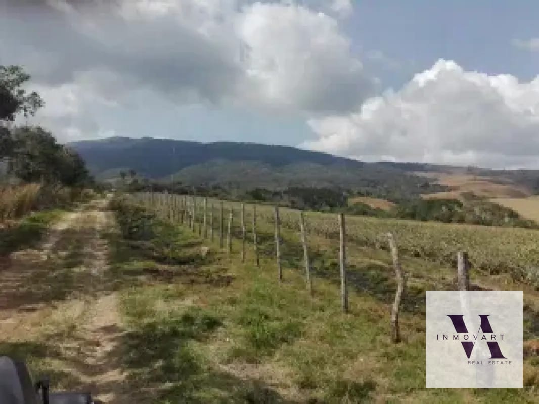 Terreno a la venta Jocotillo — Terreno en Venta en Villa Canales, Guatemala, Ciudad — foto 3 de 9