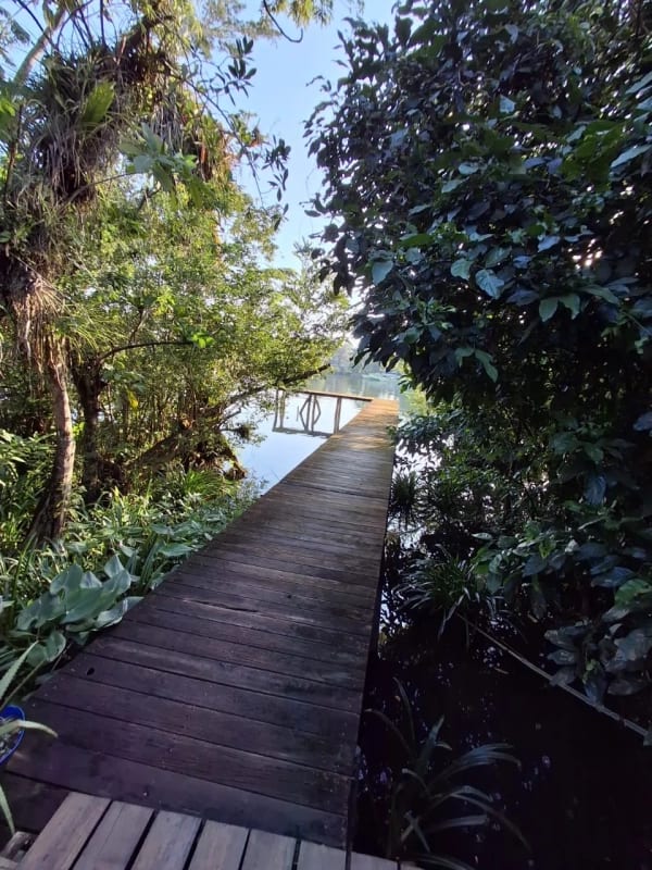Casa en Arrendamiento  - Isla los Zanates Rio Dulce — Casa vacacional en Alquiler en Río dulce, Izabal — foto 3 de 7