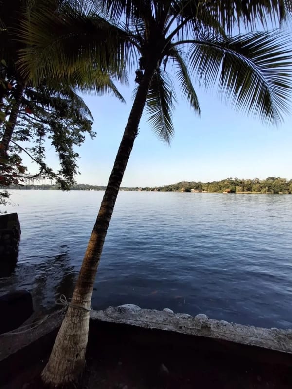 Casa en Arrendamiento  - Isla los Zanates Rio Dulce — Casa vacacional en Alquiler en Río dulce, Izabal — foto 4 de 7