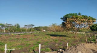 ALQUILO TERRENO COMERCIAL ORILLA DE CARRETERA KM67.8 CARRETERA A TAXISCO — Terreno en Alquiler en Escuintla, Escuintla — miniatura 3 de 5