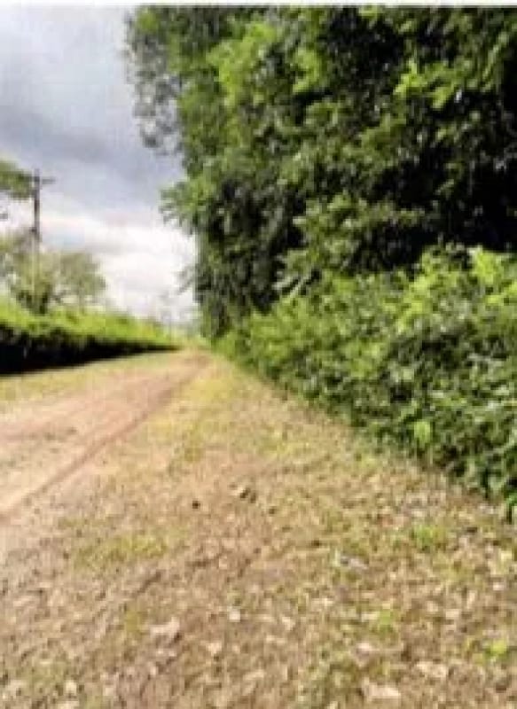 Finca Rústica en Venta Zapotitlán Camino al IRTRA — Finca en Venta en San Martín Zapotitlán, Retalhuleu — foto 6 de 9