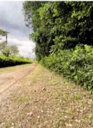 Finca Rústica en Venta Zapotitlán Camino al IRTRA — Finca en Venta en San Martín Zapotitlán, Retalhuleu — miniatura 6 de 9