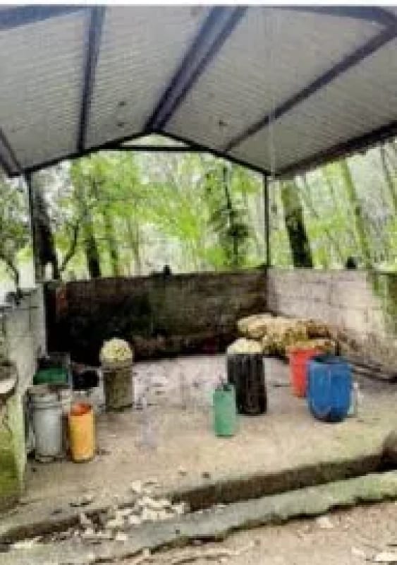 Finca Rústica en Venta Zapotitlán Camino al IRTRA — Finca en Venta en San Martín Zapotitlán, Retalhuleu — foto 2 de 9
