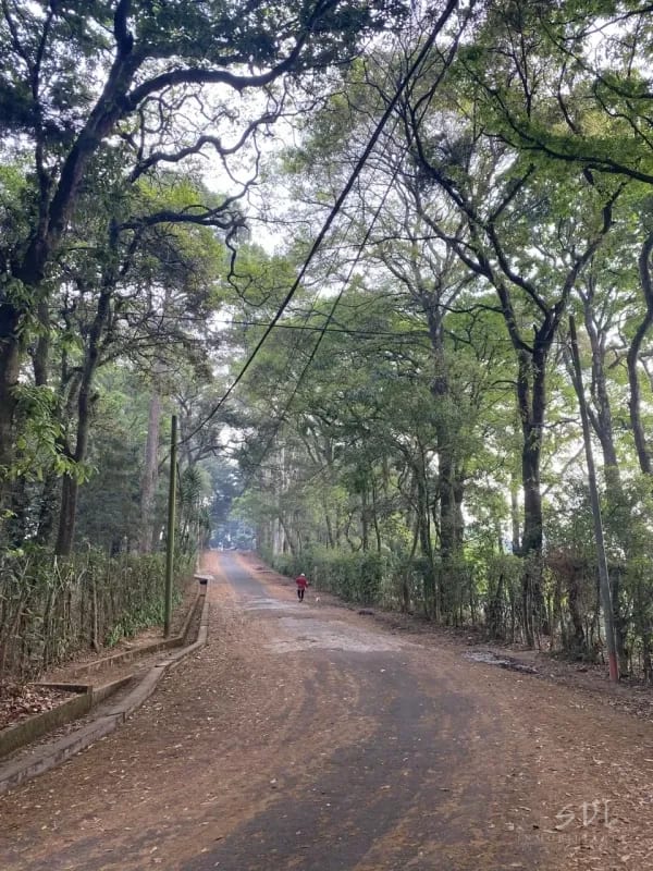 San Lucas, Sacatepequez — Terreno en Venta en Santa Lucía Milpas Altas, Sacatepéquez — foto 2 de 2