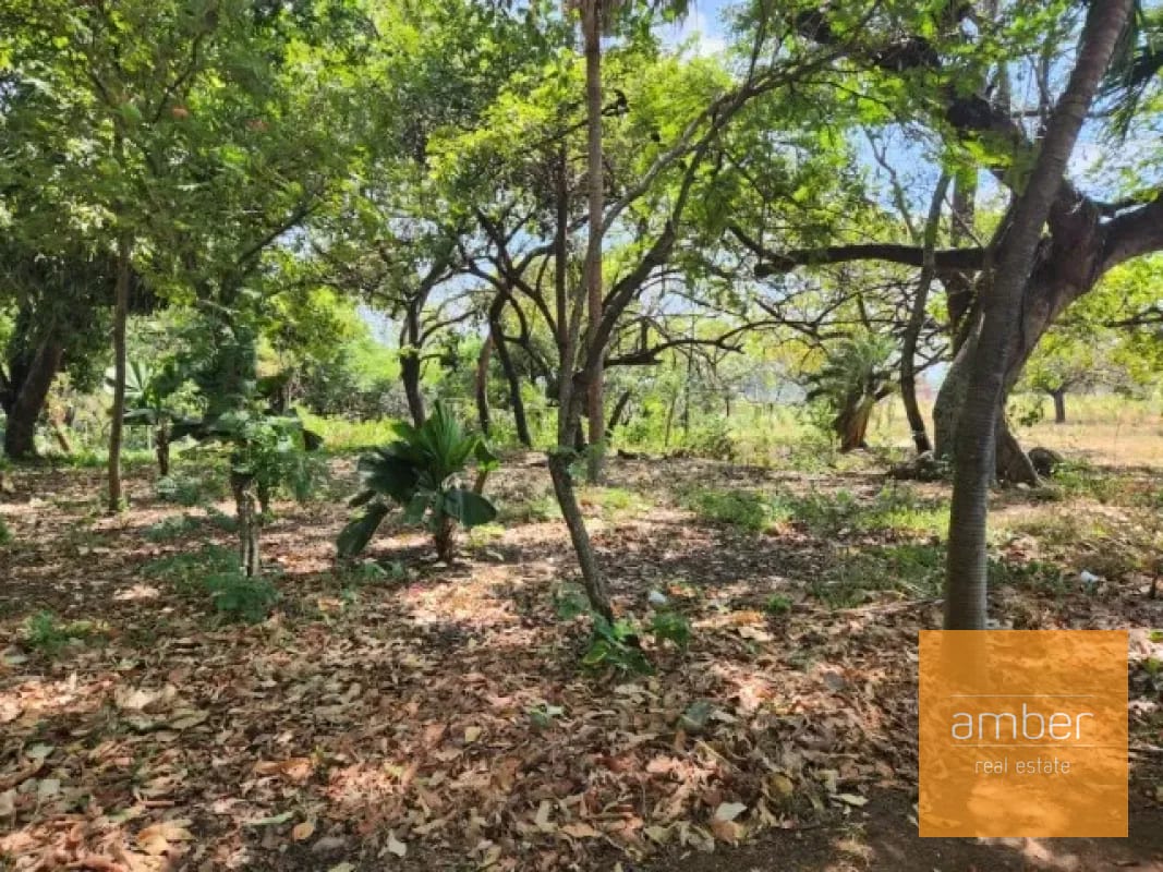 Terreno en renta en Escuintla — Terreno en Alquiler en Escuintla, Escuintla — foto 6 de 6