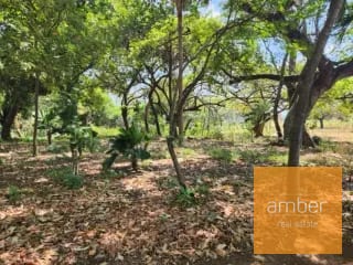 Terreno en renta en Escuintla — Terreno en Alquiler en Escuintla, Escuintla — miniatura 6 de 6