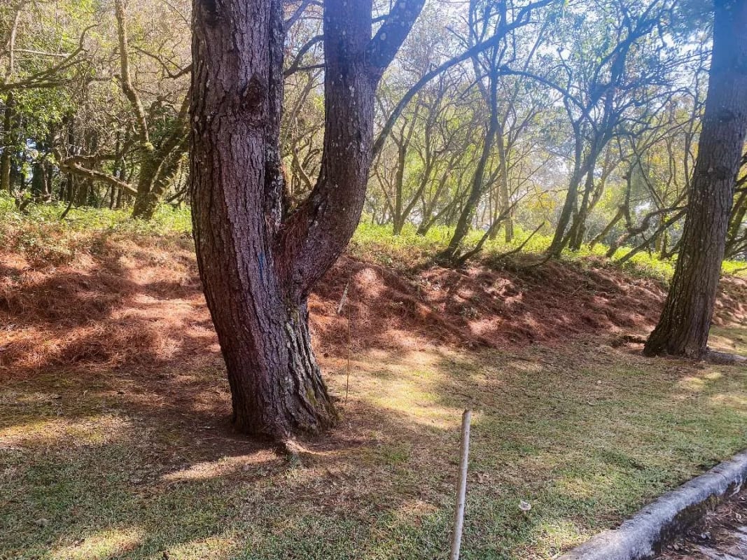 Terreno plano en venta en Condominio Premier Campestre, CAES — Terreno en Venta en Premier Campestre, Carretera a El Salvador, Guatemala, Ciudad — foto 13 de 13