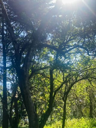 Terreno plano en venta en Condominio Premier Campestre, CAES — Terreno en Venta en Premier Campestre, Carretera a El Salvador, Guatemala, Ciudad — miniatura 12 de 13