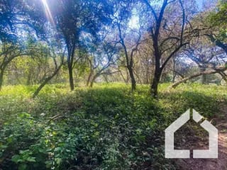 Terreno plano en venta en Condominio Premier Campestre, CAES — Terreno en Venta en Premier Campestre, Carretera a El Salvador, Guatemala, Ciudad — miniatura 11 de 13