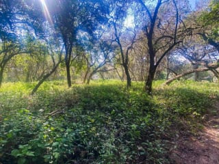Terreno plano en venta en Condominio Premier Campestre, CAES — Terreno en Venta en Premier Campestre, Carretera a El Salvador, Guatemala, Ciudad — miniatura 11 de 13
