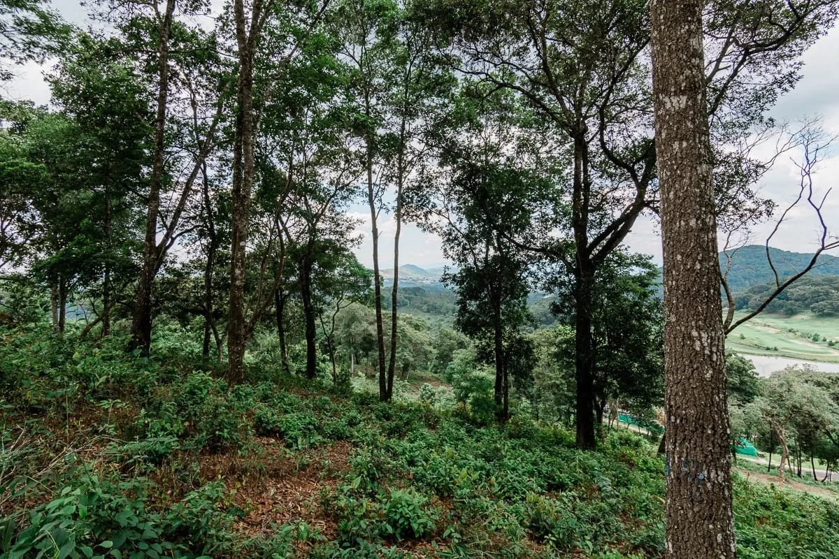 Terreno en venta con vistas premium en El Pulté Golf, zona 16 — Terreno en Venta en El Pulté Golf, Zona 16, Guatemala, Ciudad — foto 1 de 9