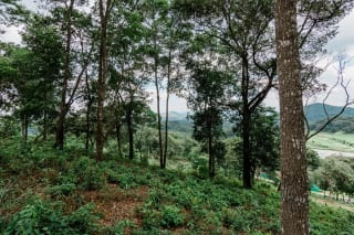 Terreno en venta con vistas premium en El Pulté Golf, zona 16 — Terreno en Venta en El Pulté Golf, Zona 16, Guatemala, Ciudad — miniatura 1 de 9