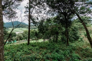 Terreno en venta con vistas premium en El Pulté Golf, zona 16 — Terreno en Venta en El Pulté Golf, Zona 16, Guatemala, Ciudad — miniatura 9 de 9