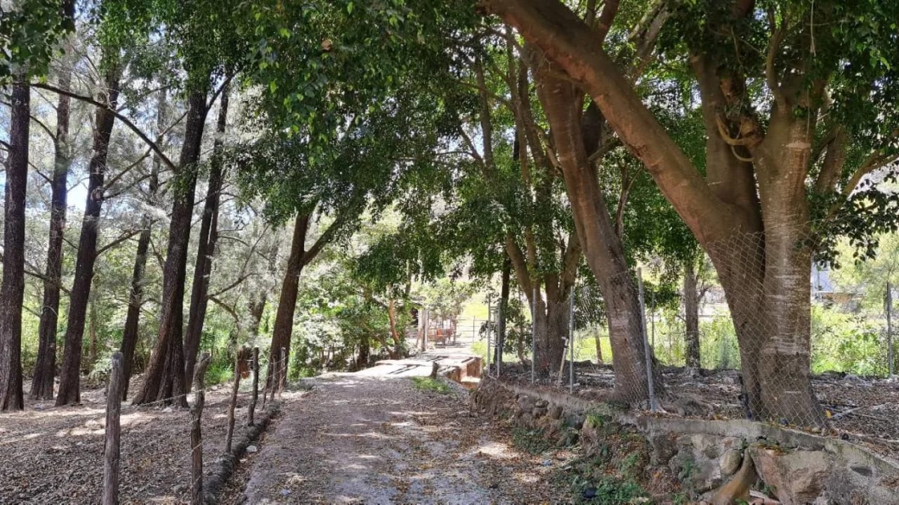 TERRENO EN VENTA EN JALAPA, A 12 MIN DEL CENTRO — Terreno en Venta en Jalapa, Jalapa — foto 11 de 15