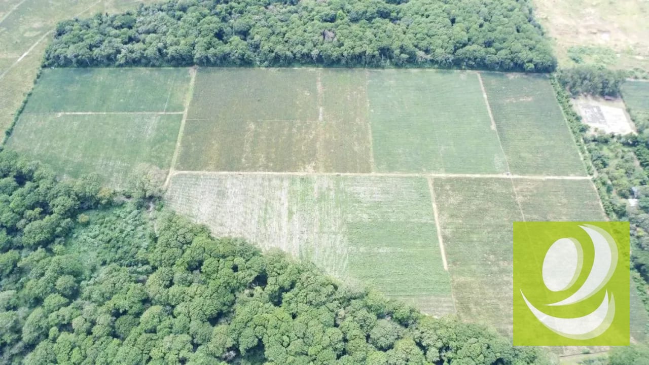 FINCA DE 17 MANZANAS PLANAS EN VENTA EN EL JOCOTILLO — Terreno en Venta en planes de barcenas, Carretera a El Salvador, Guatemala, Ciudad — foto 5 de 5