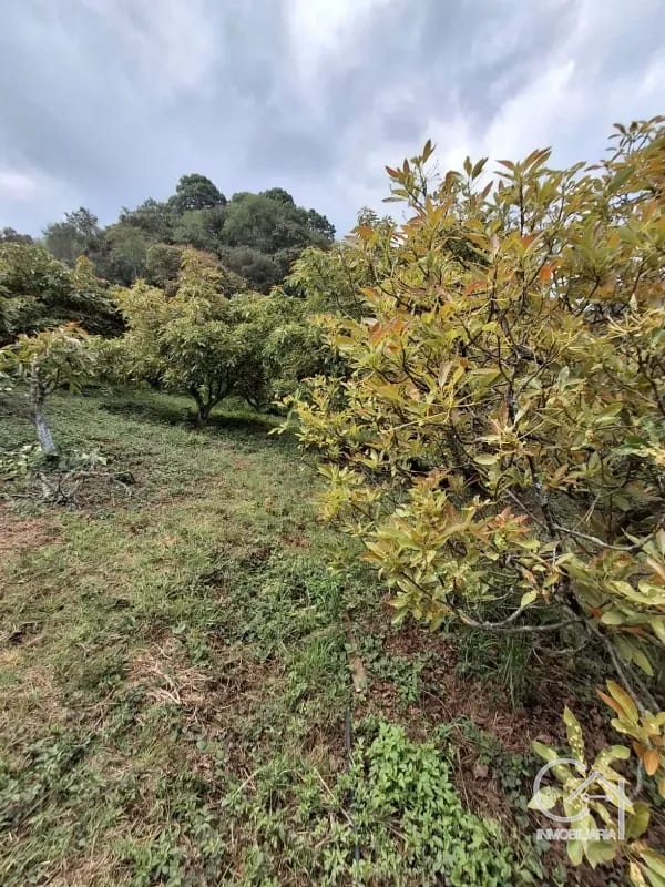 ๐๐ ๐๐๐๐๐ ๐๐๐๐๐๐ ๐๐ ๐๐๐๐๐๐๐๐ ๐๐๐๐ โ Terreno en Venta en Santiago Sacatepรฉquez, Sacatepรฉquez โ foto 2 de 9
