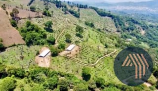 VENTA DE ESPECTACULAR FINCA EN PRODUCCIÓN - SAN VICENTE PACAYA — Finca en Venta en San Vicente Pacaya, Escuintla — miniatura 2 de 10
