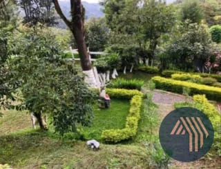 VENTA DE ESPECTACULAR FINCA EN PRODUCCIÓN - SAN VICENTE PACAYA — Finca en Venta en San Vicente Pacaya, Escuintla — miniatura 8 de 10