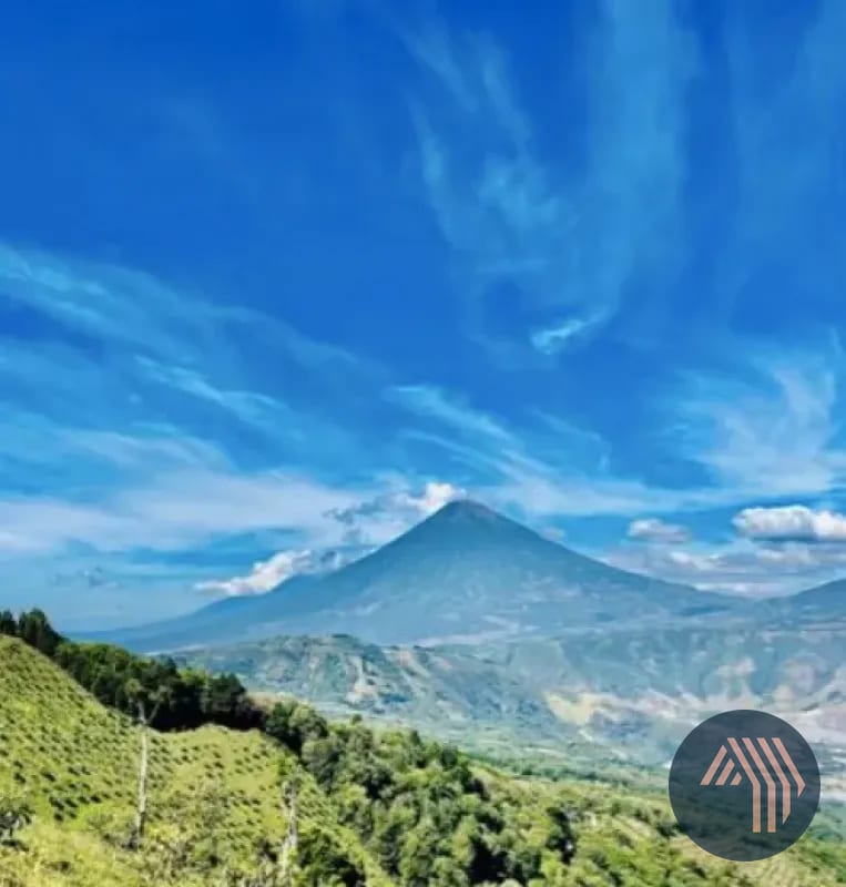 VENTA DE ESPECTACULAR FINCA EN PRODUCCIÓN - SAN VICENTE PACAYA — Finca en Venta en San Vicente Pacaya, Escuintla — foto 9 de 10