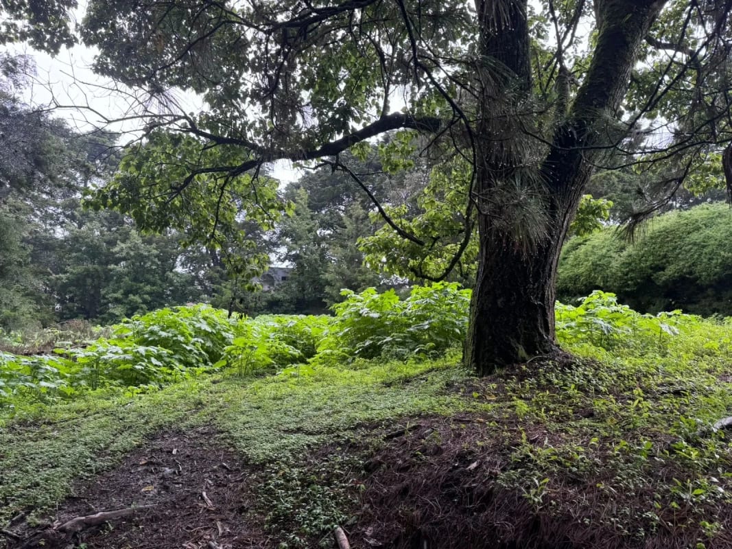 Terreno en Venta KM 16.5 CAES Cond. San Francisco Javier — Terreno en Venta en Carretera a El Salvador, Guatemala, Ciudad — foto 3 de 3