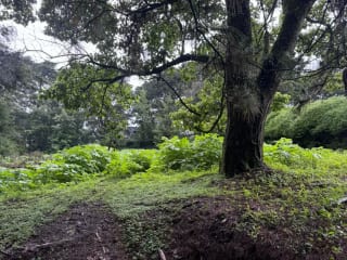 Terreno en Venta KM 16.5 CAES Cond. San Francisco Javier — Terreno en Venta en Carretera a El Salvador, Guatemala, Ciudad — miniatura 3 de 3