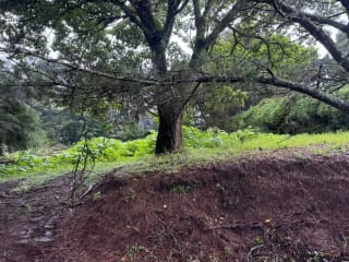 Terreno en Venta KM 16.5 CAES Cond. San Francisco Javier — Terreno en Venta en Carretera a El Salvador, Guatemala, Ciudad — miniatura 2 de 3