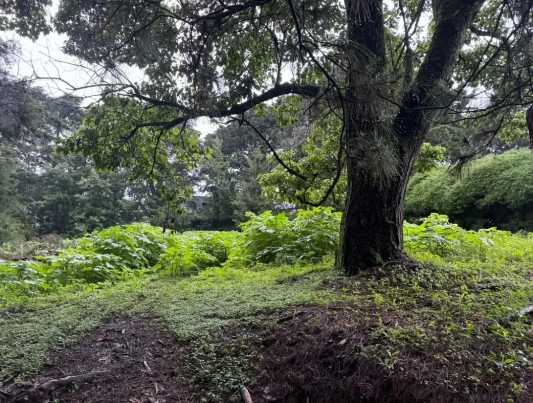 Terreno en Venta KM 16.5 CAES Cond. San Francisco Javier — Terreno en Venta en Carretera a El Salvador, Guatemala, Ciudad — foto 1 de 3