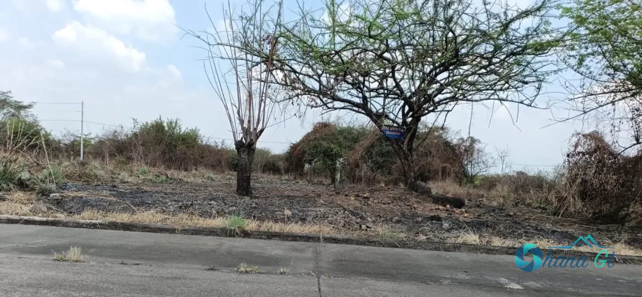 Terreno en Venta KM 77 Via a Puerto Quetzal Quintas la Ponderosa — Terreno en Venta en Quintas La Ponderosa, Escuintla, Escuintla — foto 4 de 5