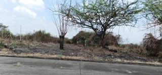 Terreno en Venta KM 77 Via a Puerto Quetzal Quintas la Ponderosa — Terreno en Venta en Quintas La Ponderosa, Escuintla, Escuintla — miniatura 4 de 5