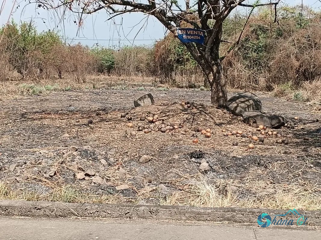 Terreno en Venta KM 77 Via a Puerto Quetzal Quintas la Ponderosa — Terreno en Venta en Quintas La Ponderosa, Escuintla, Escuintla — foto 1 de 5
