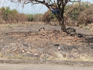 Terreno en Venta KM 77 Via a Puerto Quetzal Quintas la Ponderosa — Terreno en Venta en Quintas La Ponderosa, Escuintla, Escuintla — miniatura 1 de 5