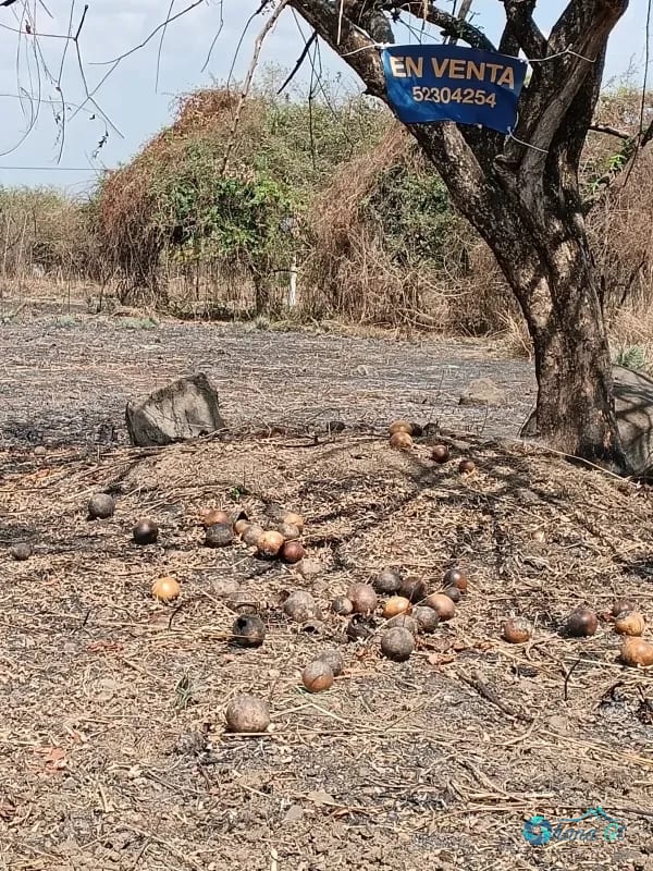 Terreno en Venta KM 77 Via a Puerto Quetzal Quintas la Ponderosa — Terreno en Venta en Quintas La Ponderosa, Escuintla, Escuintla — foto 3 de 5