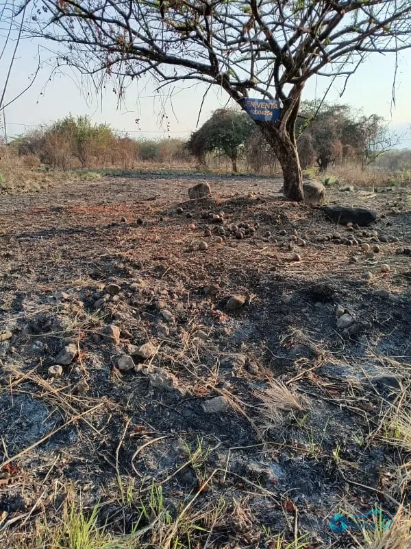 Terreno en Venta KM 77 Via a Puerto Quetzal Quintas la Ponderosa — Terreno en Venta en Quintas La Ponderosa, Escuintla, Escuintla — foto 2 de 5