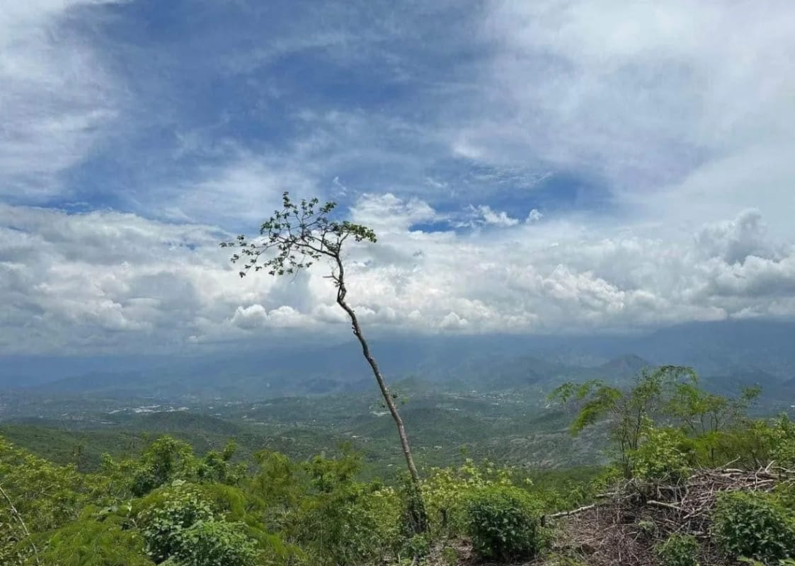 Terreno en VENTA   El Progreso Guastatoya — Terreno en Venta en Guastatoya, El Progreso — foto 5 de 5