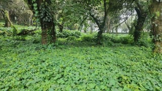 Terreno en venta en Premier Campestre km 23 carretera a El Salvador — Terreno en Venta en Carretera a El Salvador, Guatemala, Ciudad — miniatura 5 de 7