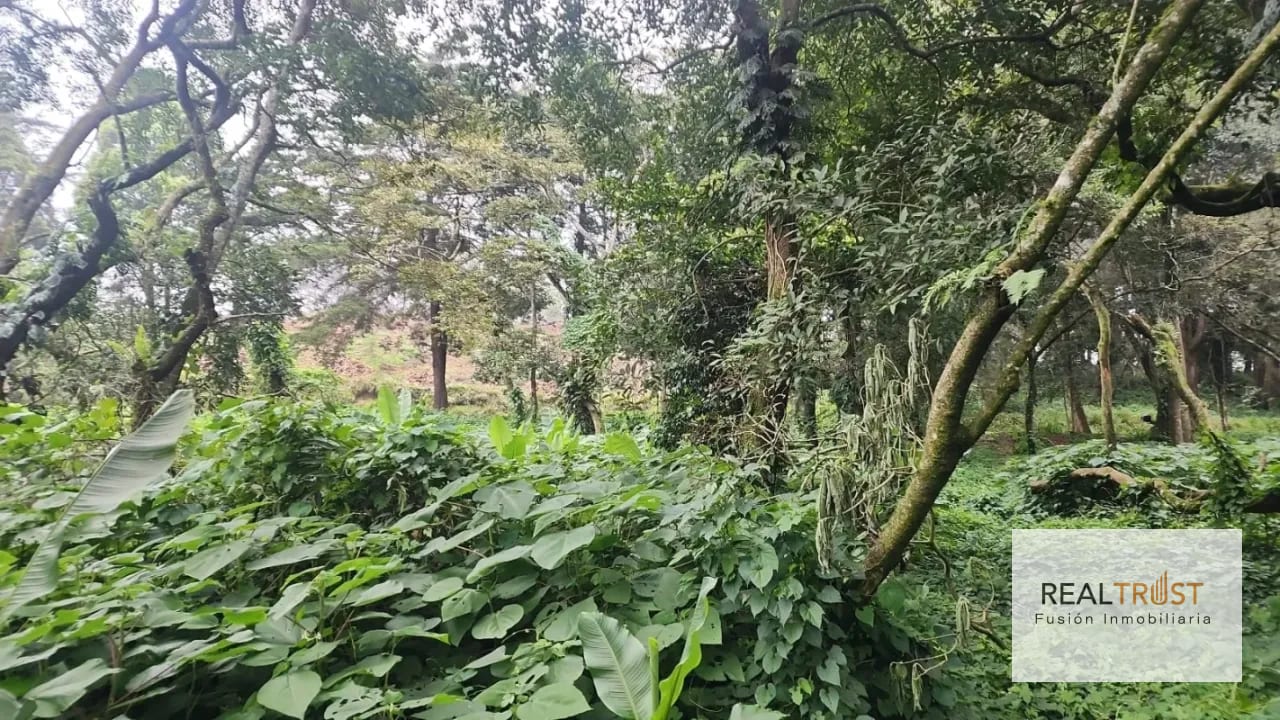 TERRENO EN VENTA PREMIER CAMPESTRE KM 23 CAES — Terreno en Venta en Carretera a El Salvador, Guatemala, Ciudad — foto 5 de 7