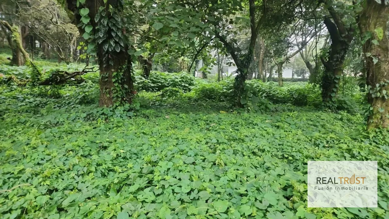 TERRENO EN VENTA PREMIER CAMPESTRE KM 23 CAES — Terreno en Venta en Carretera a El Salvador, Guatemala, Ciudad — foto 4 de 7