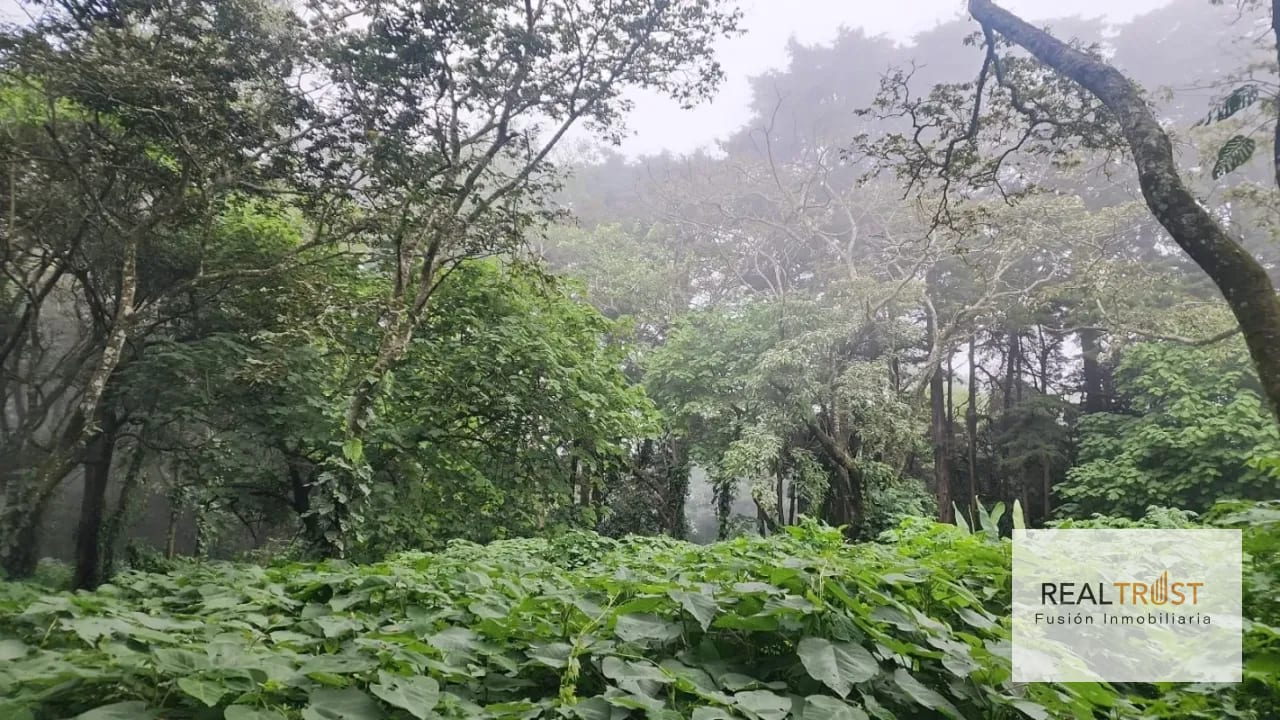 TERRENO EN VENTA PREMIER CAMPESTRE KM 23 CAES — Terreno en Venta en Carretera a El Salvador, Guatemala, Ciudad — foto 3 de 7