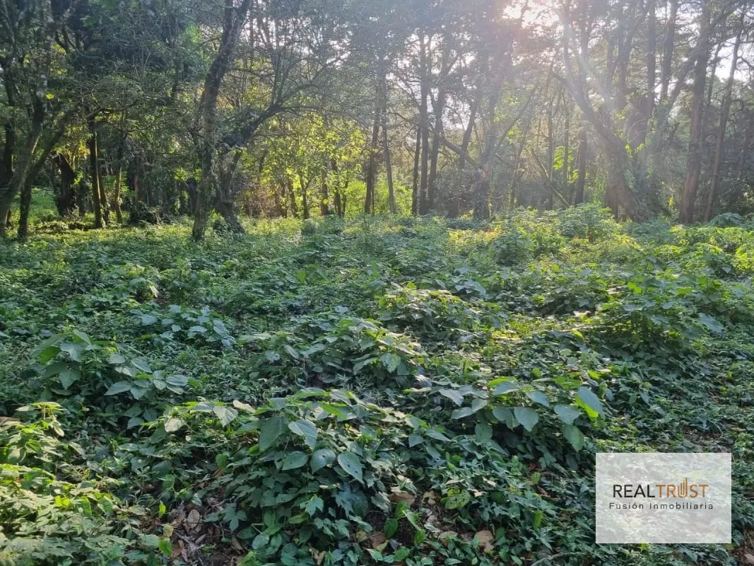 TERRENO EN VENTA PREMIER CAMPESTRE KM 23 CAES — Terreno en Venta en Carretera a El Salvador, Guatemala, Ciudad — foto 2 de 7